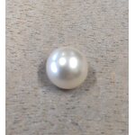 Falk Group Helminappi 12 mm Shamppanja