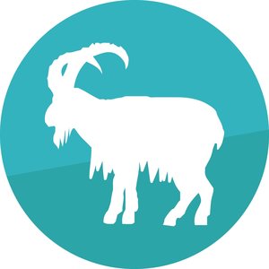 Cashmere-herkut